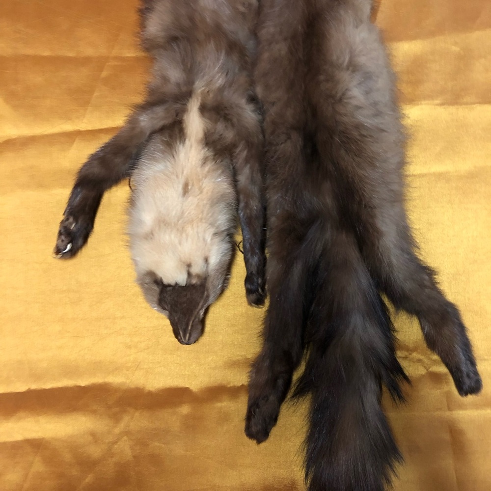 Elegant Brown Fur/Mink Collar - Picture 2 of 12